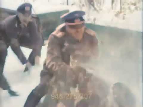 WWII German Soldiers Snowball Fight 1940 - Colorized