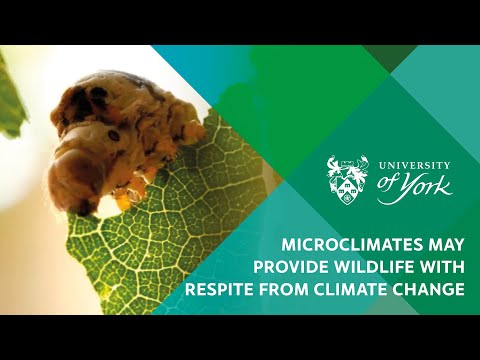 Microclimates may provide wildlife with respite from climate change