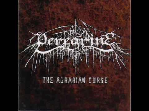 peregrine - amor fati