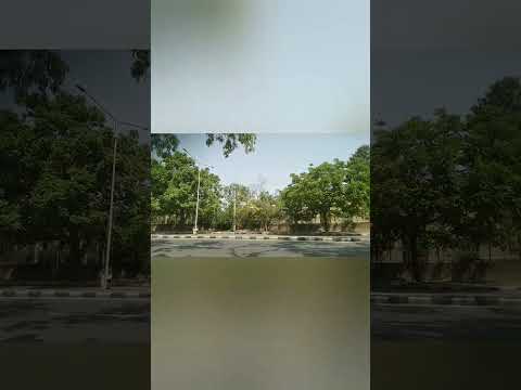 Chandigarh judicial academy #punjabharyanahighcourt #high #court #chandigarh #chowkidar #jobs #short