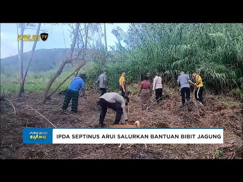 IPDA SEPTINUS ARUI KANIT BHABINKAMTIBMAS POLRES PEGUNUNGAN ARFAK SALURKAN BANTUAN BIBIT JAGUNG