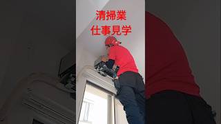 清掃業の職場見学！キクタの仕事ぶりをShortで楽しむ！　#shortvideo #職場見学　#働き方