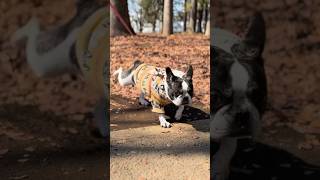 久しぶりの代々木公園が楽しかった♪