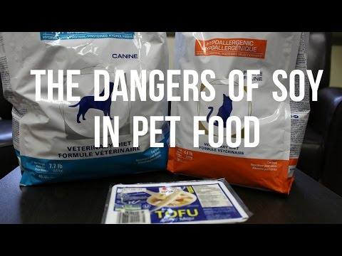 The Dangers of Soy In Pet Food