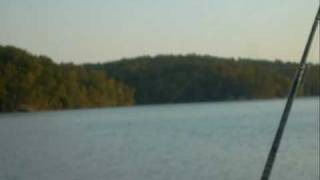 Just Me and the dogs fishin