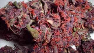 Andre Nickatina - Blood In My Hair