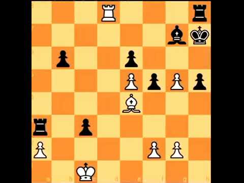 Chess Jon Ludvig Hammer vs Magnus @chess @GothamChess @ChessQueen