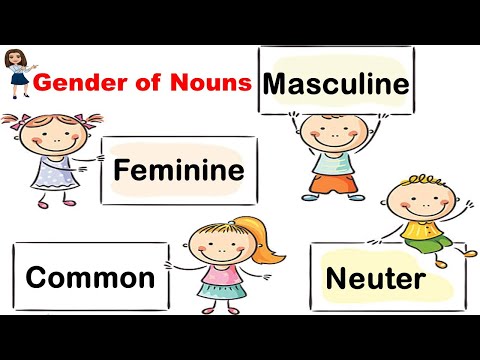Gender of Nouns | English Grammar | Teacher Beth Class TV