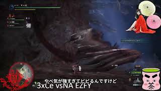 【超カオス・自動テロップ】ムフェトジーバ一撃【モンハンワールドアイスボーン】