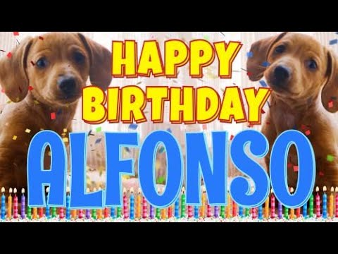 Happy Birthday Alfonso! ( Funny Talking Dogs ) What Is Free On My Birthday