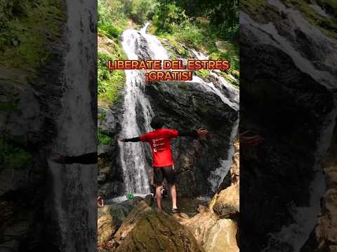 Hidroterapia al natural, Cascada la Clara #norcasia #caldas #shortvideo #shortsfeed #shorts