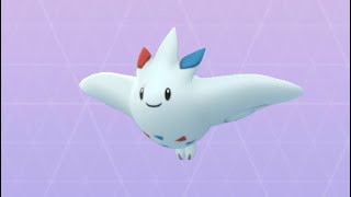 トゲチック ポケットモンスター ボスゴドラ レジロック ゴリランダー トゲチック ポケットモンスター ボスゴドラ レジロック ゴリランダー