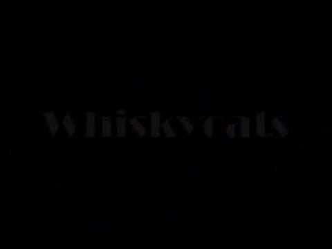 Whiskycats Sony Vaio Nation Project Video 6