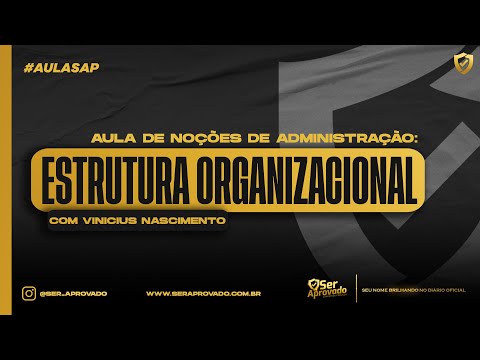 Noções de Administração: Estrutura Organizacional | Vinicius Nascimento