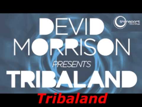 Devid Morrison presents Tribaland EP