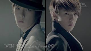 EXO Teaser 13_SE HUN (2)