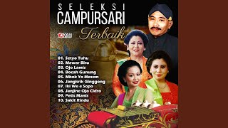 Download lagu Janjine Ojo Cidro mp3