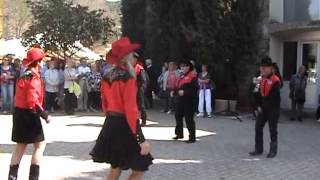 preview picture of video 'Country Free Dancers Taradeau 2012 All Shook Up'