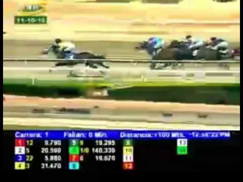 LA RINCONADA 1 CARRERA, DOMINGO 11 DE OCTUBRE DEL 2015