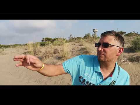 STEFAN OTTO - Am Strand ohne Sole