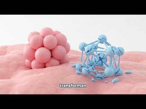 DESARROLLO TECNOLÓGICO DE FORMAS SÓLIDAS ORALES