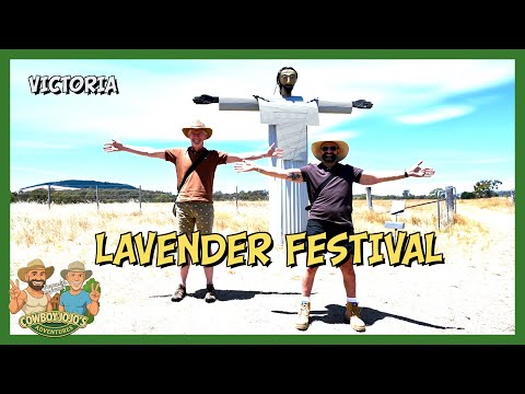 LAVENDER HARVEST FESTiVAL /  THE SWISS ITALIAN FARM  / ViCTORiA