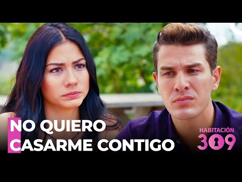 El Único Vínculo Entre Nosotros Es Nuestro Bebé - Habitación 309