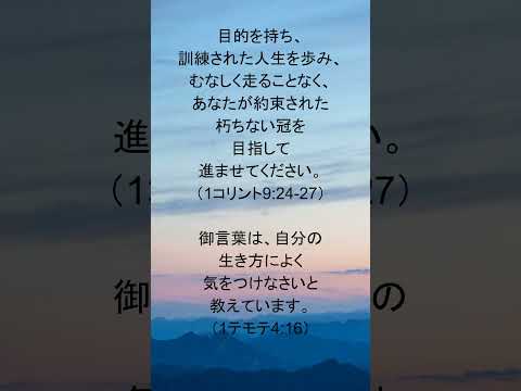 動画を再生