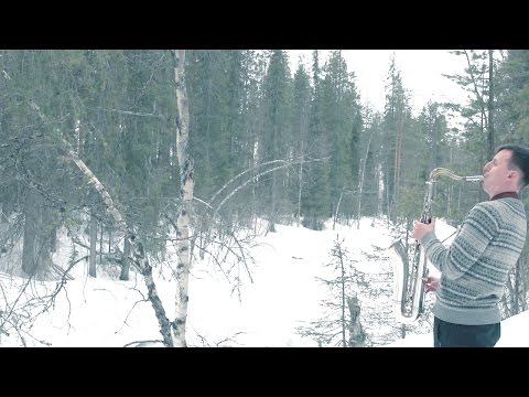 Bear Garden - 67.130°N 20.66°E