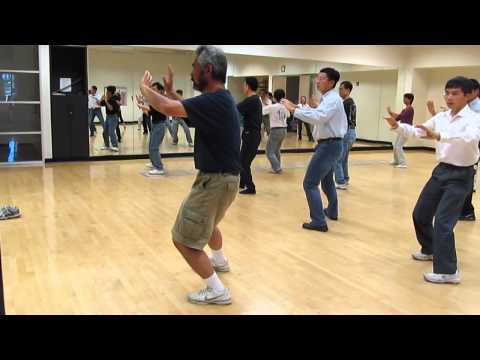 Yang Style Water TaiJi Played at 1.5 faster speed  水性太極拳