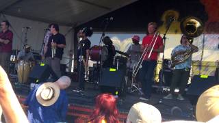 Jazzfest 2015   New Orleans Nightcrawlers