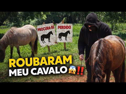 🚨ROUBARAM MEU CAVALO 😱❗️*quem será que foi ❓🧐