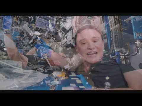 Some Crystal protein structure