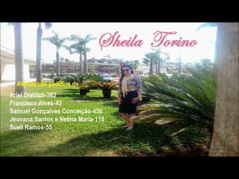 Hinos-362-42-456-118-55 Sheila Torino atendendo pedidos HINOS CCB