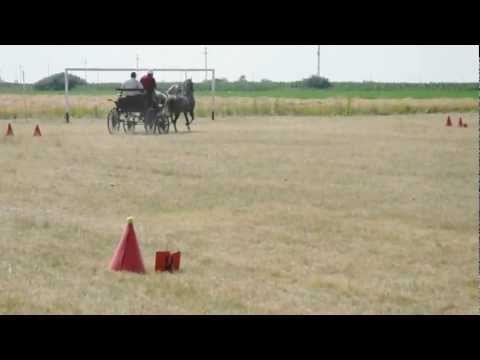 Parada atelajelor cu cai