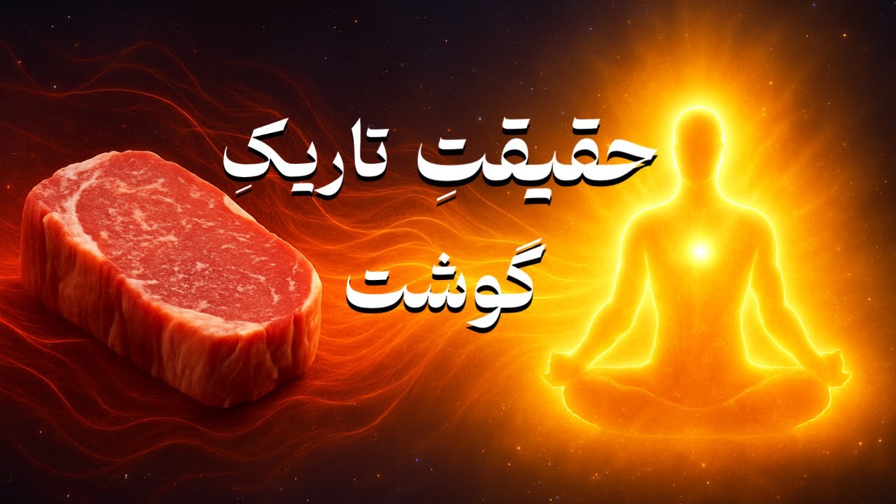 ‼️گوشت نخور اگه فرکانس بالا میخوای❌ | دکتر رضایی