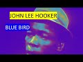John Lee Hooker  -  Bluebird