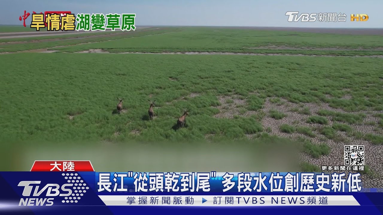 乾旱衝擊長江流域　陸蔬菜、豬肉漲2成