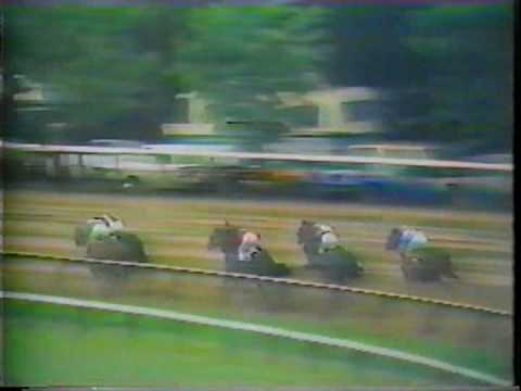 General Assembly - 1979 Travers Stakes
