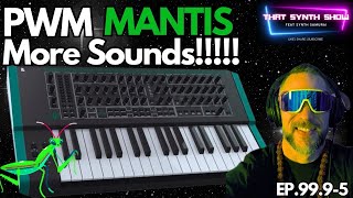 Video thumbnail for INSANE NEW PWM MANTIS DEMO HOLY MOLY!! 🎹SYNTH OF THE YEAR | THAT SYNTH SHOW EP.99.9-5 #synth by SYNTH SAMURAI