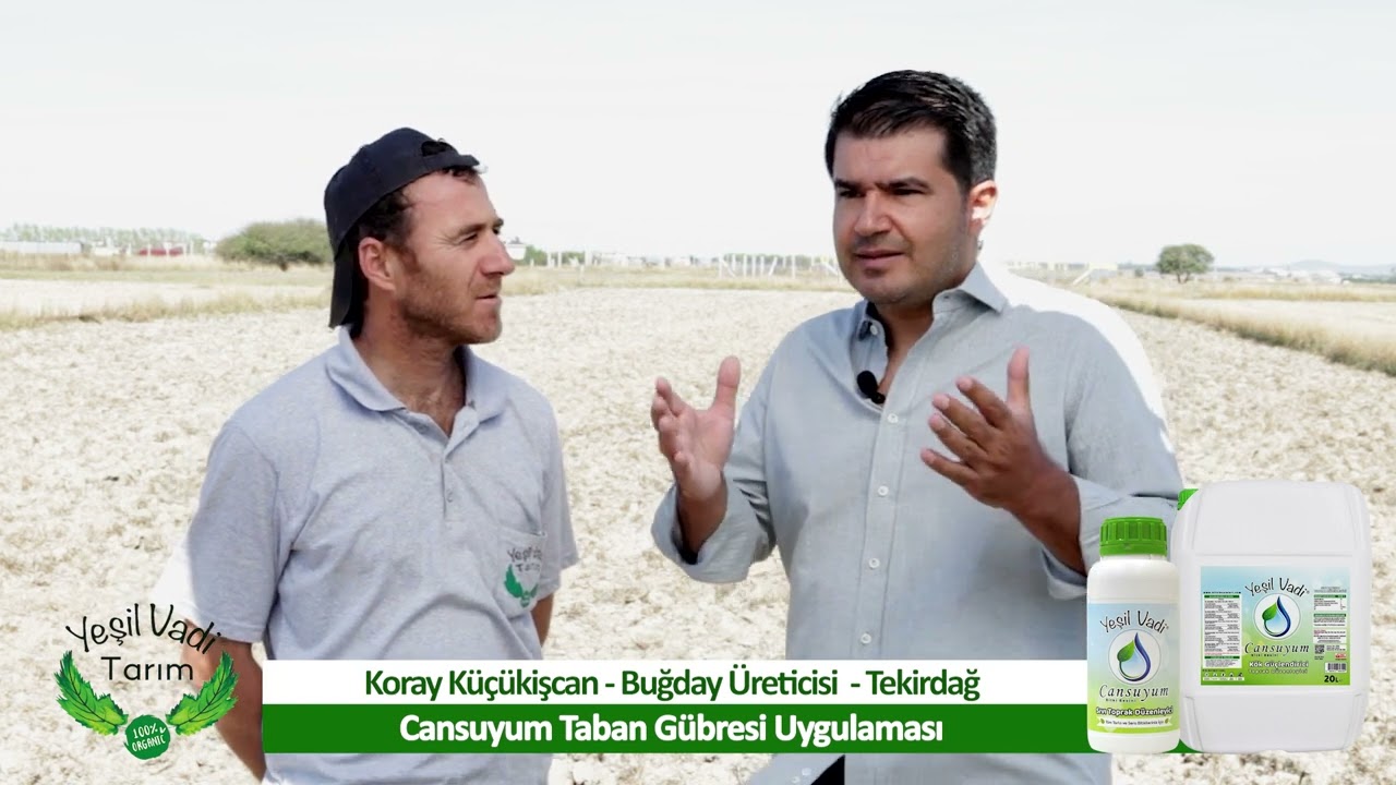 Buğday Tarlasında Cansuyum Taban Gübresi Uygulaması
