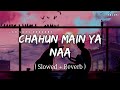 Chahun Main Ya Naa - Lofi (Slowed + Reverb) | Arijit Singh, Palak Muchhal | SR Lofi