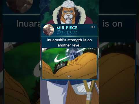 inuarashi vs jack #onepiece #otaku #anime #shorts