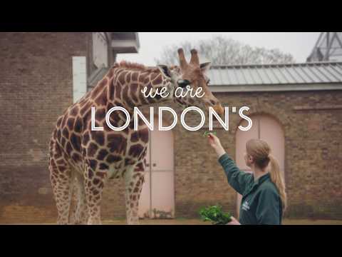 Visit ZSL London Zoo