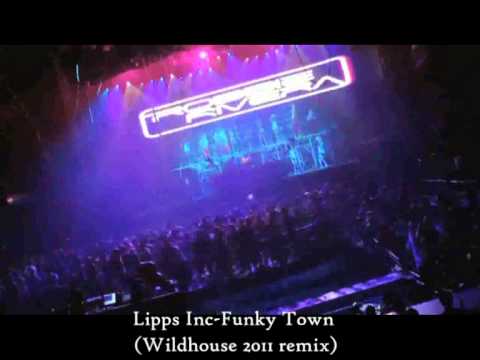 Lipps Inc - Funky Town (Wildhouse 2011 remix)