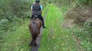 preview picture of video 'Autumn Icelandic Ride on the Keuka Lake Outlet Trail'