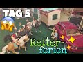 Reiterferien Auf Dem Sonnental Gestüt ️ 2025 TAG 5 Camping Schleich Pferde Video ️