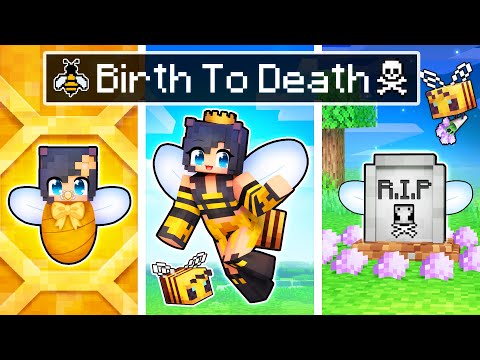 The BIRTH to DEATH of a Minecraft Bee!