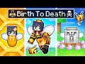 The BIRTH to DEATH of a Minecraft Bee!