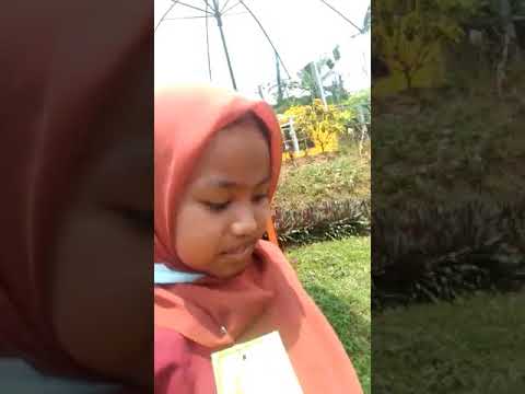 Maulidatul mufidah 💗